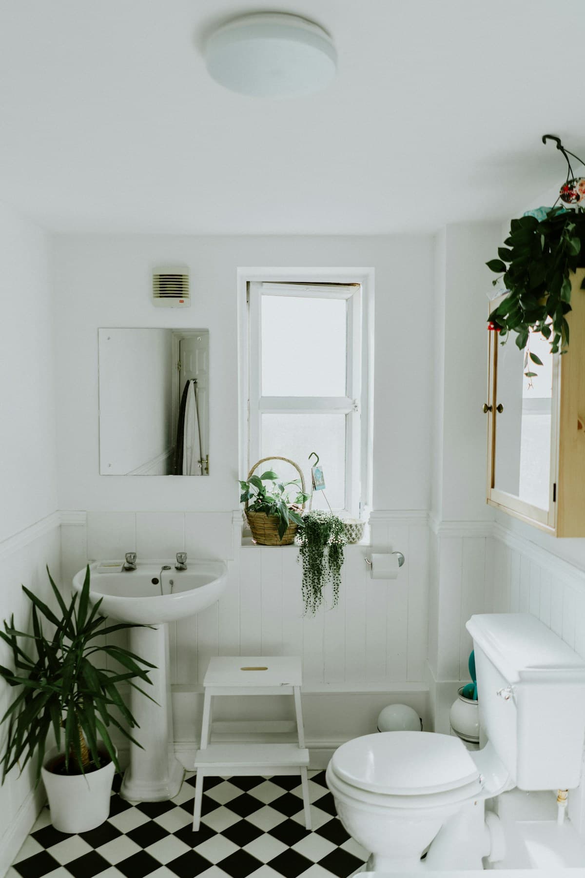 Residential & Commercial Cleaning Business — Bryan-College Station, TX