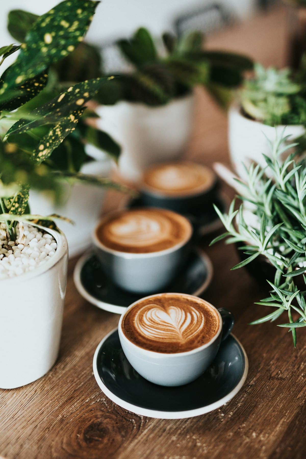 Specialty Coffee Café in Dubai Academic District