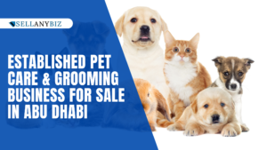 blog banner for website content (95)